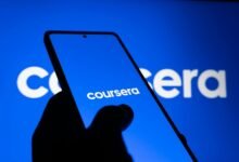 advanced branding online authority