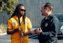 digital authority trust plan